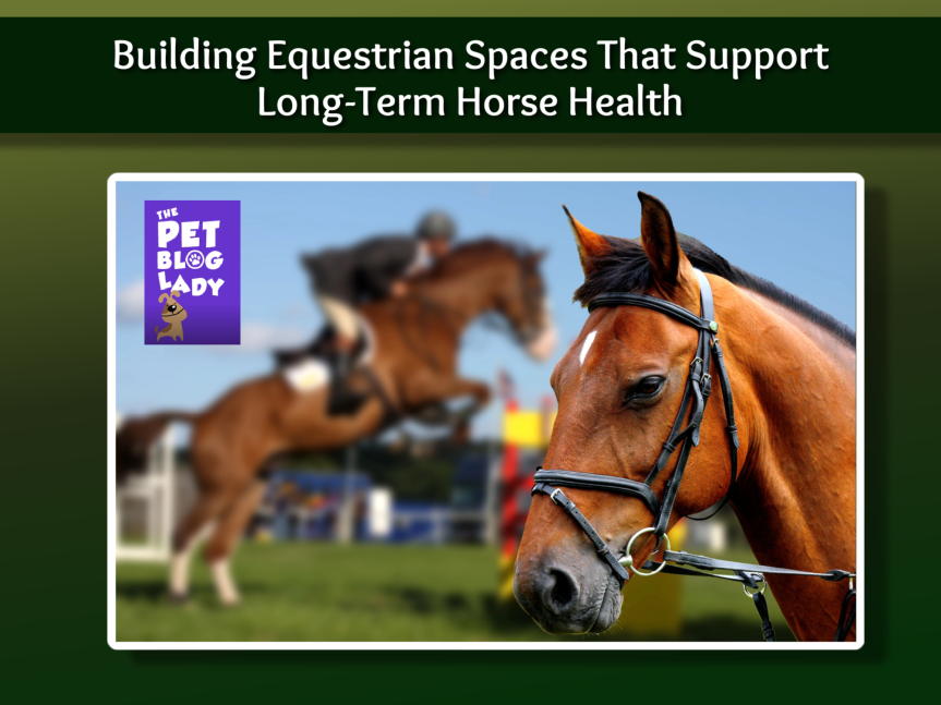 Building Equestrian Spaces That Support Long-Term Horse Health
