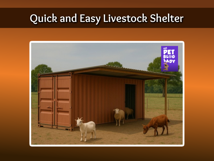 Quick and Easy Livestock Shelter