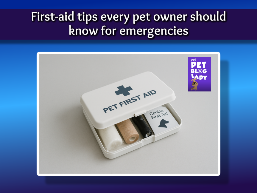 First-aid tips every pet owner should know for emergencies