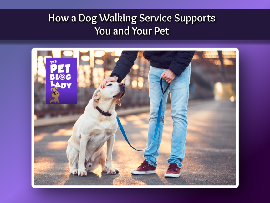 How a Dog Walking Service Supports You and Your Pet