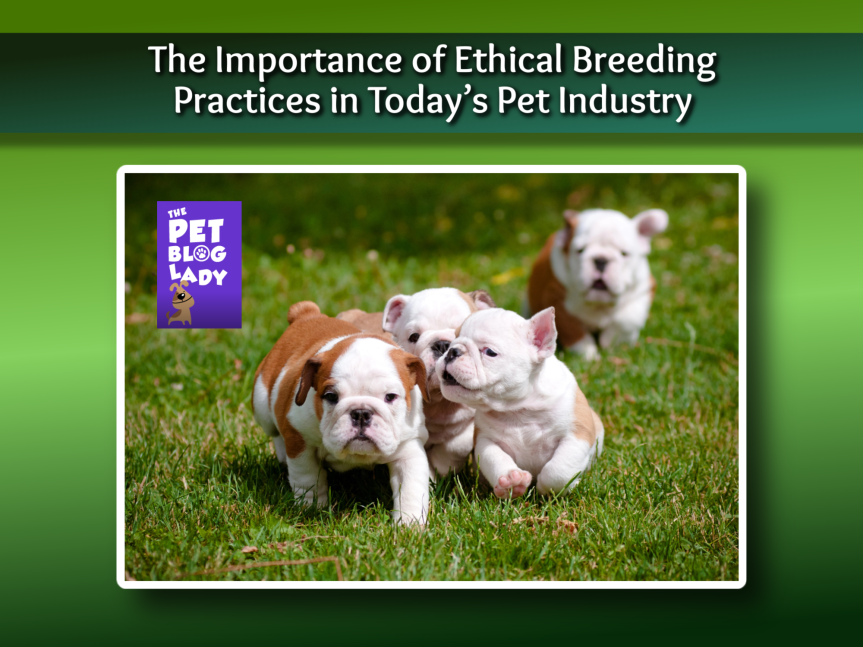 The Importance of Ethical Breeding Practices in Today’s Pet Industry