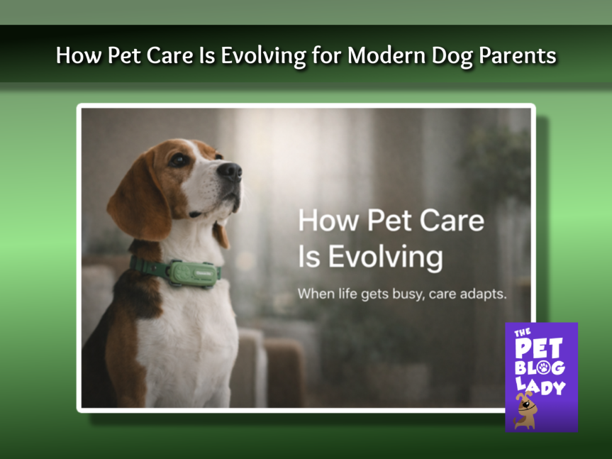 How Pet Care Is Evolving for Modern Dog Parents