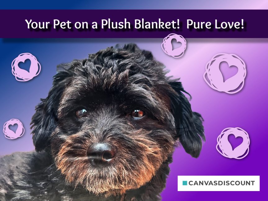 Your Pet on a Plush Blanket!  Pure Love!