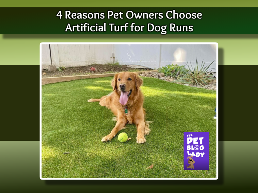 4 Reasons Pet Owners Choose Artificial Turf for Dog Runs