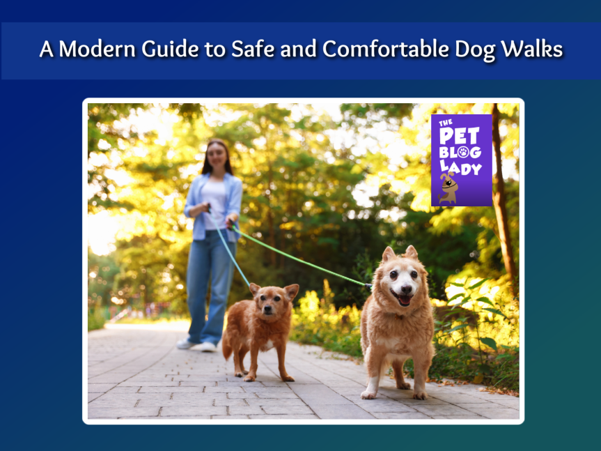 A Modern Guide to Safe and Comfortable Dog Walks