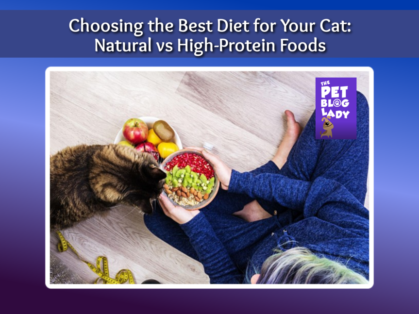 Choosing the Best Diet for Your Cat: Natural vs High-Protein Foods