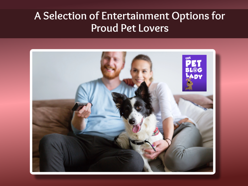 A Selection of Entertainment Options for Proud Pet Lovers