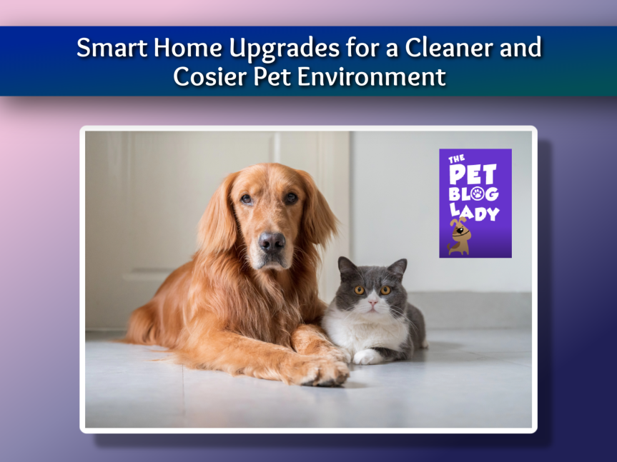 Smart Home Upgrades for a Cleaner and Cosier Pet Environment