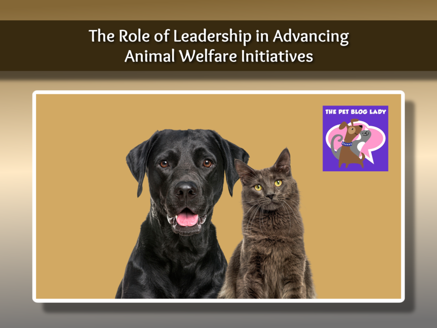 The Role of Leadership in Advancing Animal Welfare Initiatives