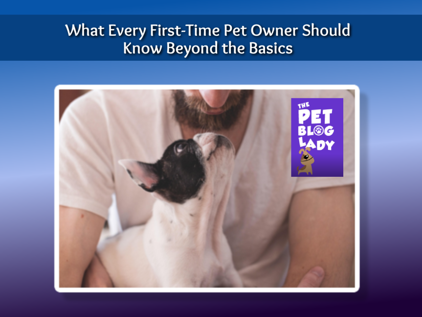What Every First-Time Pet Owner Should Know Beyond the Basics