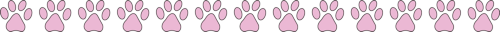 BdPaws_pink