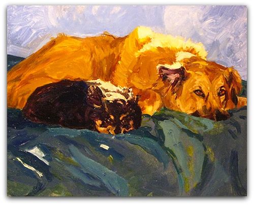 Casey & Murphy shadow