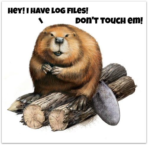 Log files