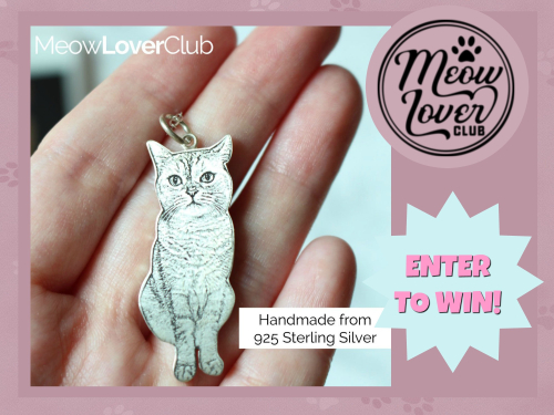 Personalized Silver Pet Portrait Jewelry ~ Giveaway!