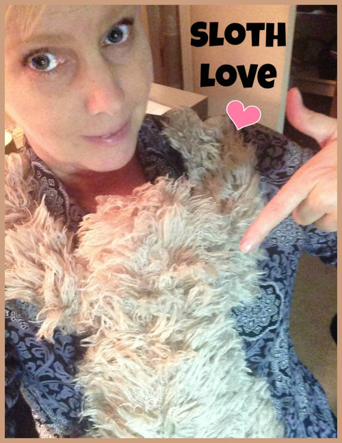 Sloth mommy border
