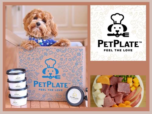 PetPlate – Fresh Human-Quality Dog Meals Delivered to Your Door!