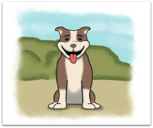 Illustrations 2