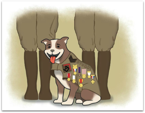 Illustrations 1