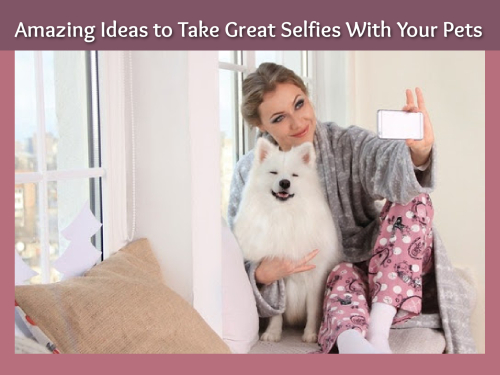 Amazing Ideas to Take Great Selfies With Your Pets