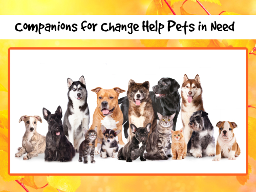 Making a Difference ~ Companions for Change Help Pets in Need