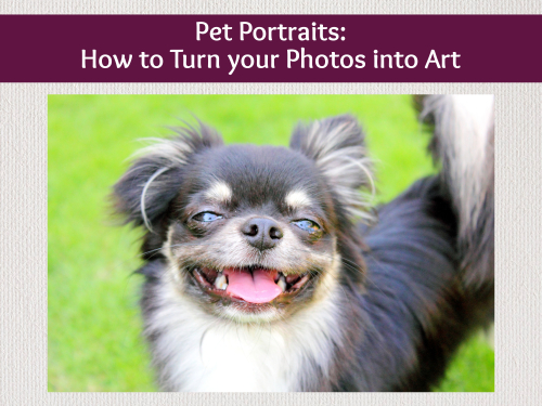 Pet Portraits: How to Turn your Photos into Art