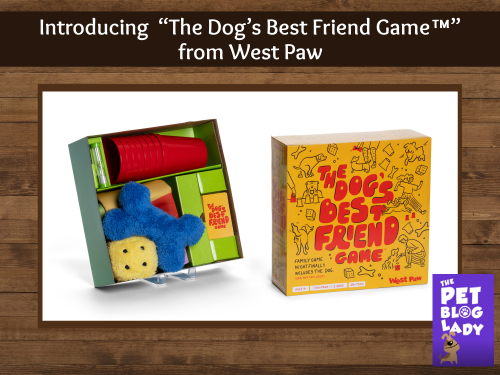 Family Game Night Finally Includes the Family Dog; Introducing  “The Dog’s Best Friend Game™” from West Paw