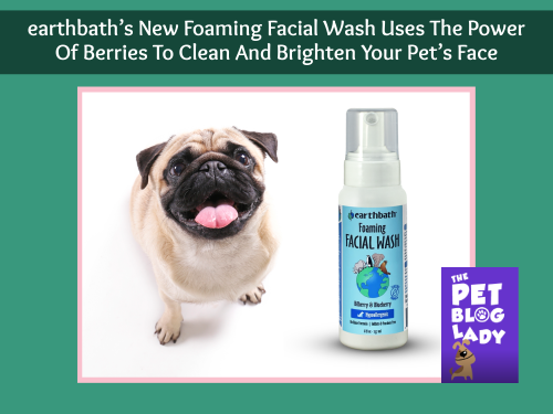 Stop And Smell The Berries! earthbath’s ️New Foaming Facial Wash Uses The Power Of Berries To Clean And Brighten Your Pet’s Face