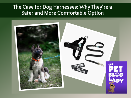 The Case for Dog Harnesses: Why They’re a Safer and More Comfortable Option