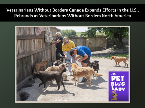 Veterinarians Without Borders Canada Expands Efforts in the U.S., Rebrands as Veterinarians Without Borders North America