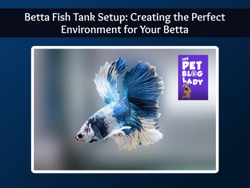 Betta Fish Tank Setup: Creating the Perfect Environment for Your Betta