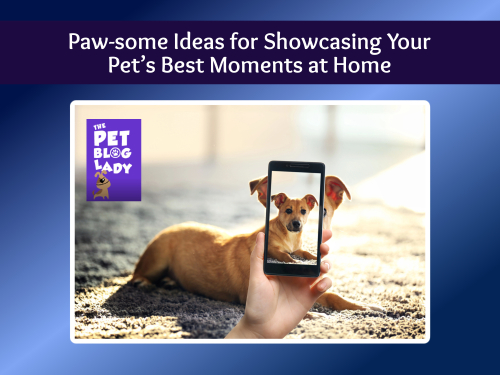 Paw-some Ideas for Showcasing Your Pet’s Best Moments at Home