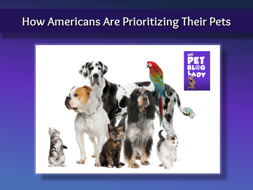 How Americans Are Prioritizing Their Pets