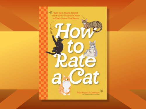 How to Rate a Cat