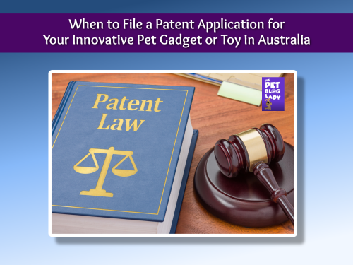 When to File a Patent Application for Your Innovative Pet Gadget or Toy in Australia
