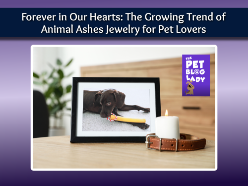 Forever in Our Hearts: The Growing Trend of Animal Ashes Jewelry for Pet Lovers