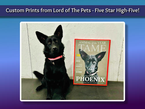 Custom Prints from Lord of The Pets – Five Star High-Five!