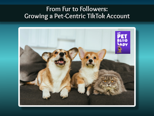 From Fur to Followers: Growing a Pet-Centric TikTok Account