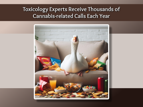 Toxicology Experts Receive Thousands of Cannabis-related Calls Each Year
