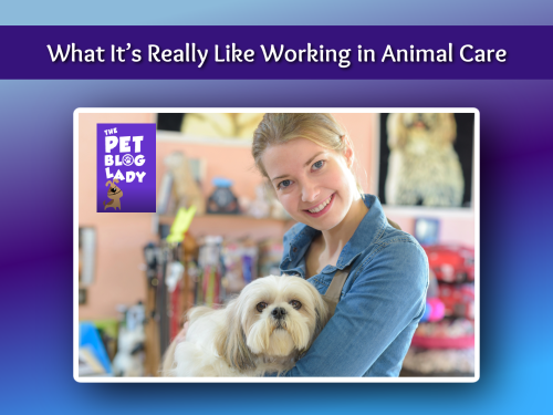 What It’s Really Like Working in Animal Care